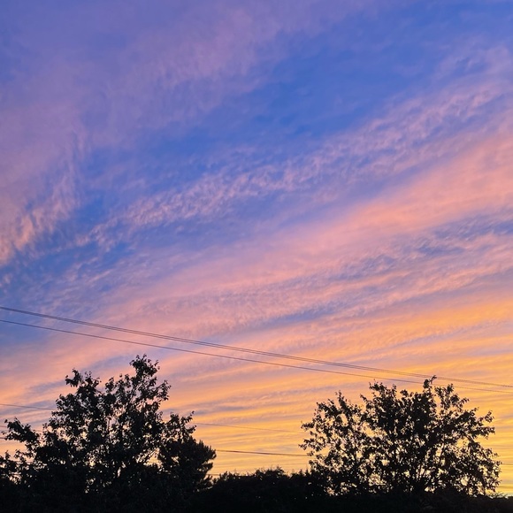 Meet your Posher, Katie - Picture 1 of 1